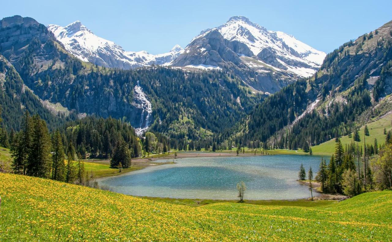 Hotel Alpenland Gstaad Dış mekan fotoğraf